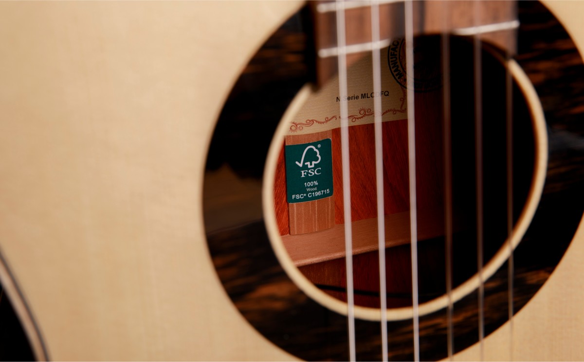 Guitarra Clasica Alhambra Green Sustain GSC