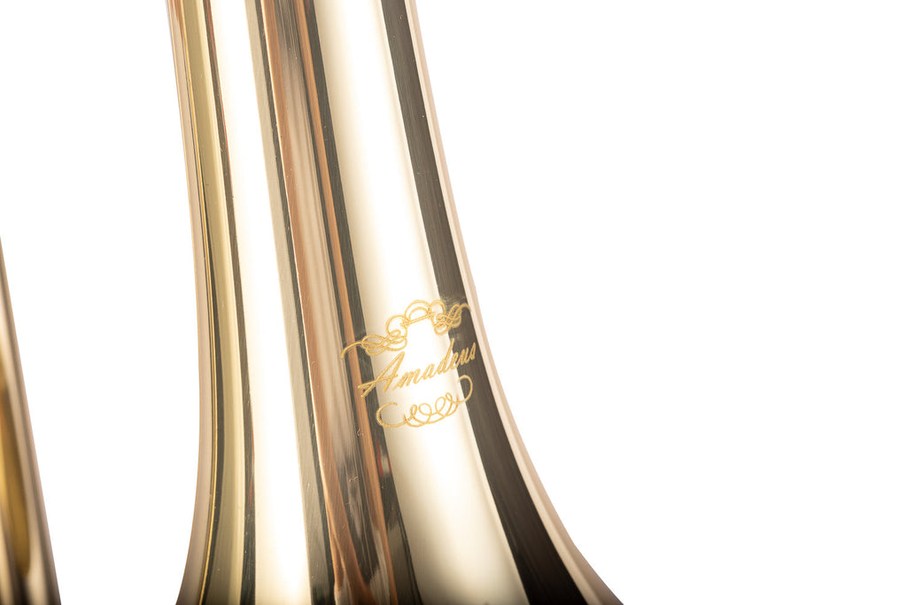 Trombon Tenor Sib Amadeus Tubo Ancho Lacado TT811L - vista 5
