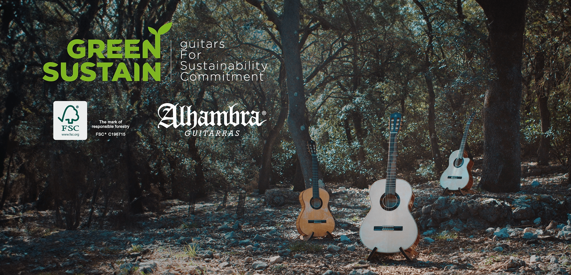 Guitarra Clasica Alhambra Green Sustain GSC
