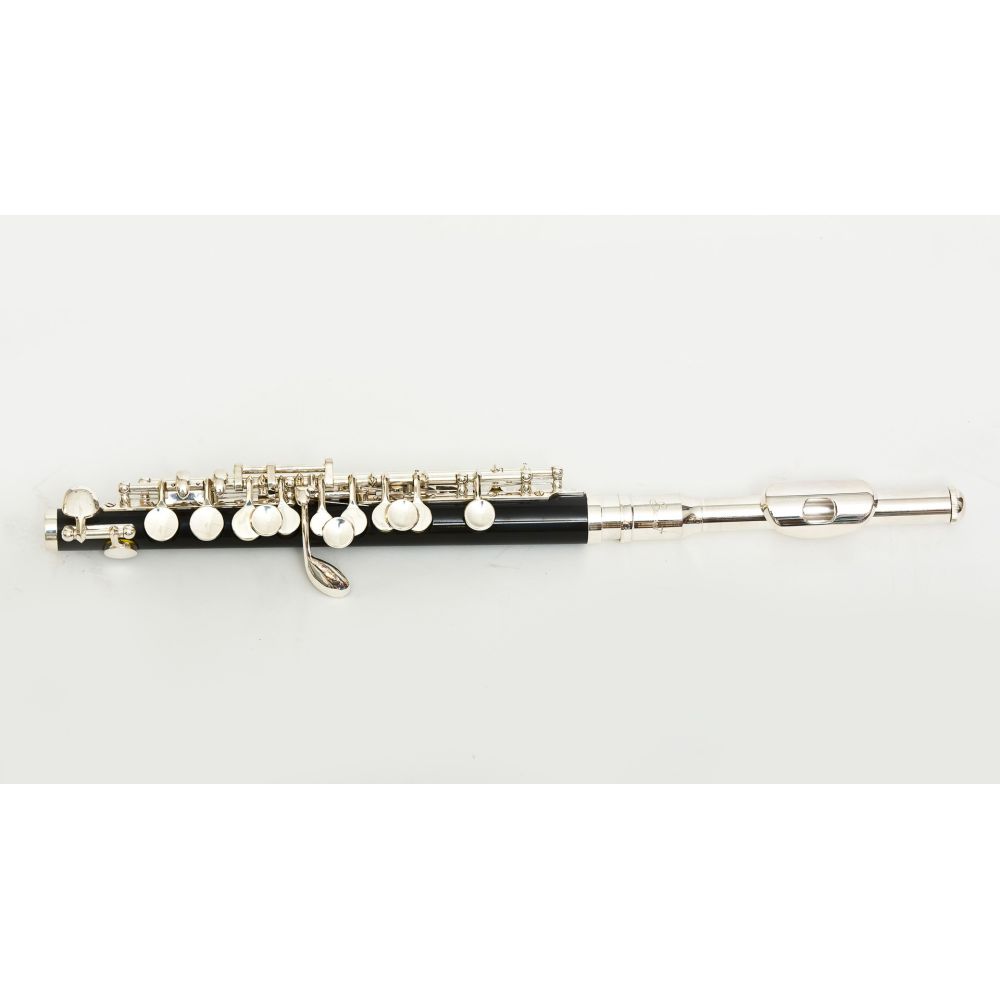 Flautin_Bressant_PC-310_01