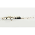 Flautin_Bressant_PC-310_01