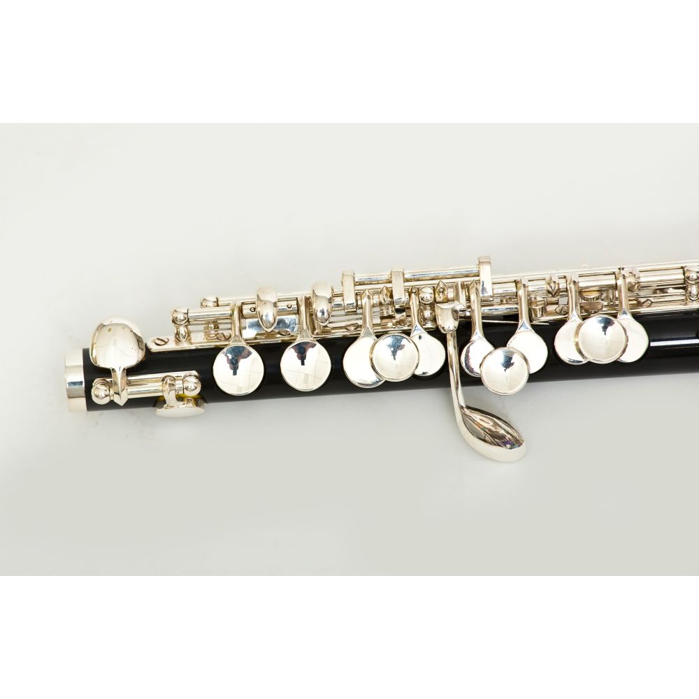 Flautin_Bressant_PC-310_02