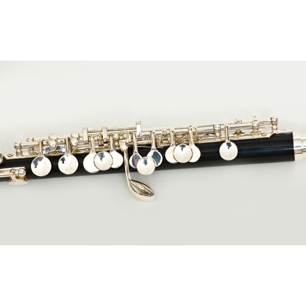 Flautin_Bressant_PC-310_03