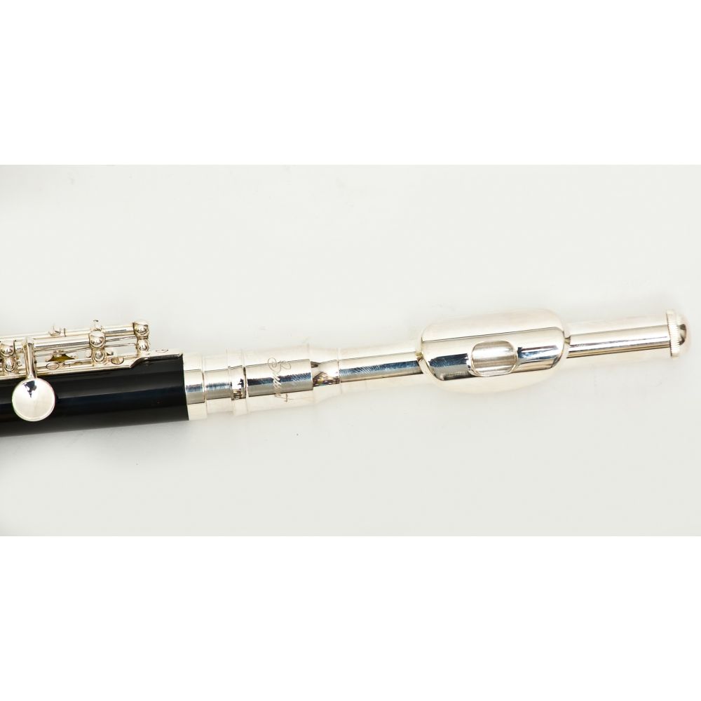 Flautin_Bressant_PC-310_04