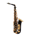 Saxofon Alto Selmer SA80 Serie II Negro 2313020078