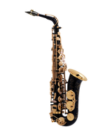 Saxofon Alto Selmer SA80 Serie II Negro 2313020078