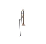 Trombon Tenor Sib/Fa Schagerl Salzburg Goldbrass Campana Desmontable