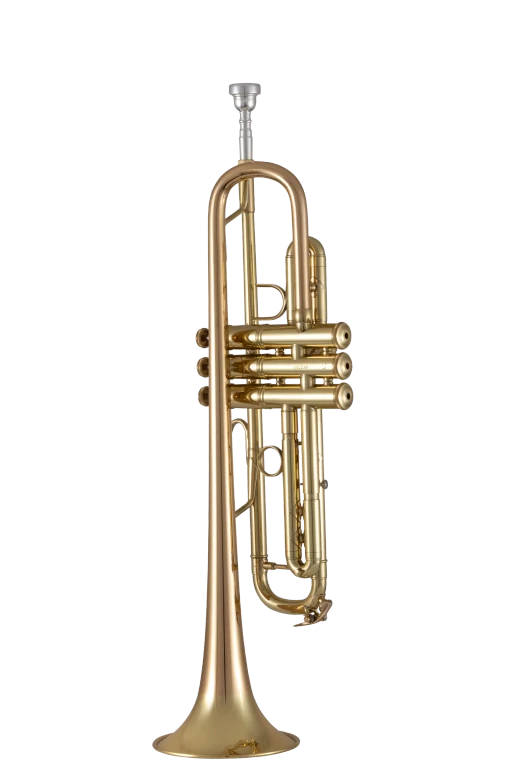 Trompeta_Sib_Bach_Stradivarius_Apollo_Tudel_Invertido_Campana_Goldmessing_Lacada_17043GYR_03