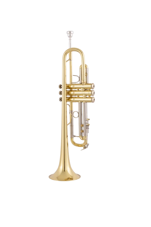 Trompeta_Sib_Bach_Stradivarius_Tudel_Invertido_43LR_Lacada_180ML37R_02