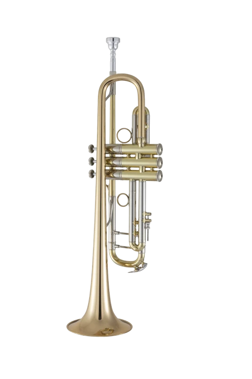Trompeta_Sib_Bach_Stradivarius_Vindabona_Campana_Goldmessing_Lacada_190L65GV_02