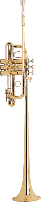 Trompeta_Heraldica_Sib_Bach_Stradivarius_Lacada_B185_01