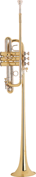 Trompeta_Heraldica_Sib_Bach_Stradivarius_Lacada_B185_01