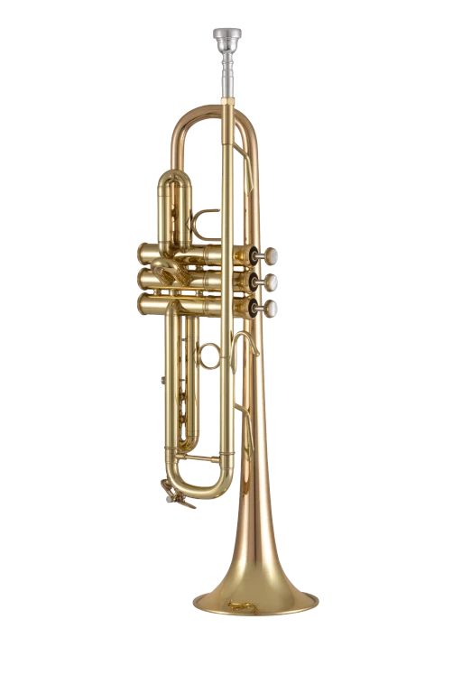 Trompeta_Sib_Bach_Stradivarius_Apollo_Tudel_Invertido_Campana_Goldmessing_Lacada_17043GYR_02