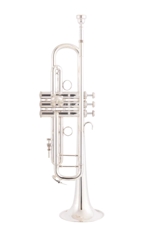 Trompeta_Sib_Bach_Stradivarius_Vindabona_Campana_Goldmessing_Plateada_190SL65GV_01