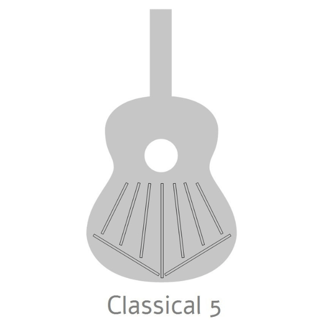 Guitarra Clasica Alhambra 5 P A